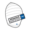 Spi PEGASUS